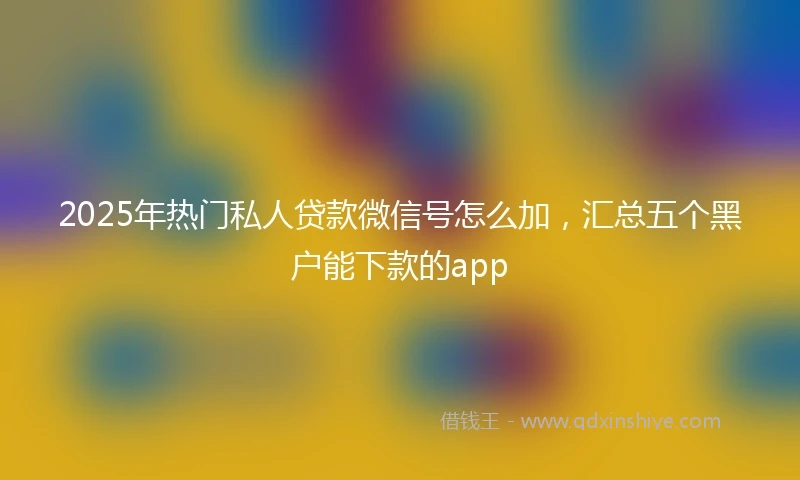 2025年热门私人贷款微信号怎么加，汇总五个黑户能下款的app