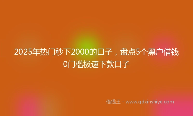 2025年热门秒下2000的口子，盘点5个黑户借钱0门槛极速下款口子