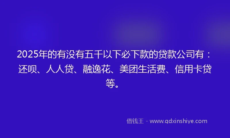 2025年的有没有五千以下必下款的贷款公司有：还呗、人人贷、融逸花、美团生活费、信用卡贷等。