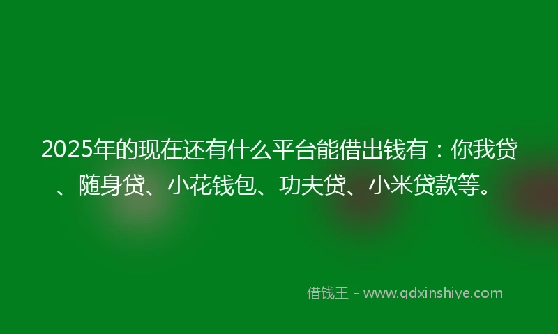 2025年的现在还有什么平台能借出钱有：你我贷、随身贷、小花钱包、功夫贷、小米贷款等。