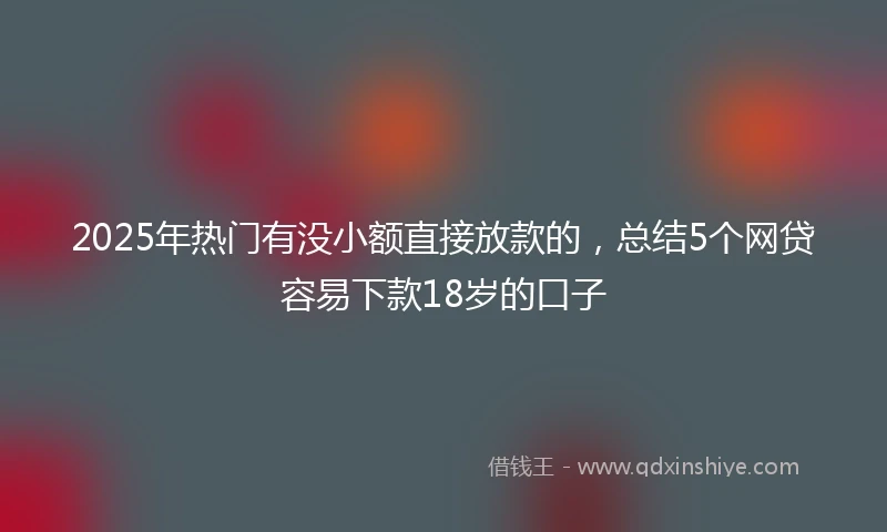 2025年热门有没小额直接放款的，总结5个网贷容易下款18岁的口子
