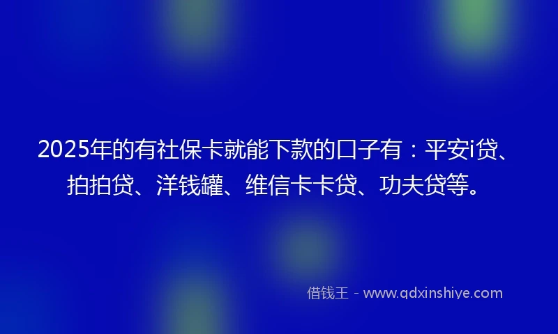2025年的有社保卡就能下款的口子有：平安i贷、拍拍贷、洋钱罐、维信卡卡贷、功夫贷等。
