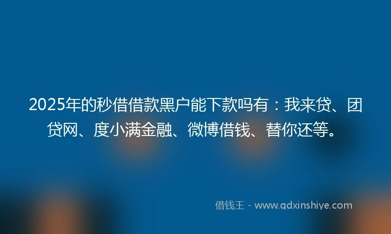 2025年的秒借借款黑户能下款吗有：我来贷、团贷网、度小满金融、微博借钱、替你还等。