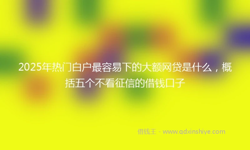 2025年热门白户最容易下的大额网贷是什么，概括五个不看征信的借钱口子