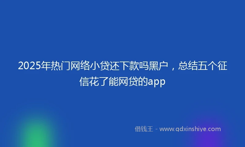 2025年热门网络小贷还下款吗黑户，总结五个征信花了能网贷的app