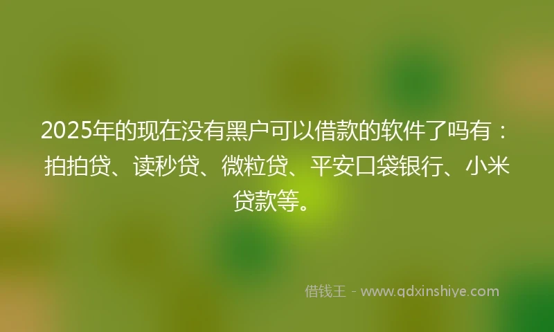 2025年的现在没有黑户可以借款的软件了吗有：拍拍贷、读秒贷、微粒贷、平安口袋银行、小米贷款等。