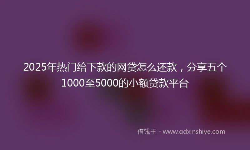 2025年热门给下款的网贷怎么还款,分享五个1000至5000的小额贷款平台