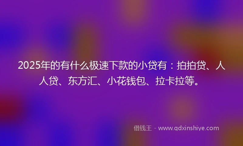 2025年的有什么极速下款的小贷有：拍拍贷、人人贷、东方汇、小花钱包、拉卡拉等。