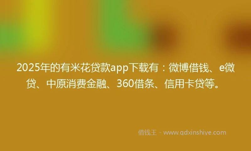 2025年的有米花贷款app下载有：微博借钱、e微贷、中原消费金融、360借条、信用卡贷等。