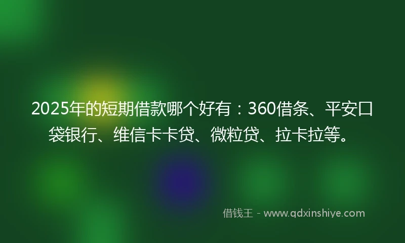 2025年的短期借款哪个好有：360借条、平安口袋银行、维信卡卡贷、微粒贷、拉卡拉等。