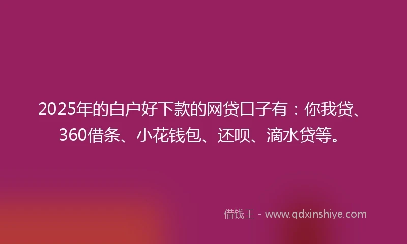2025年的白户好下款的网贷口子有：你我贷、360借条、小花钱包、还呗、滴水贷等。