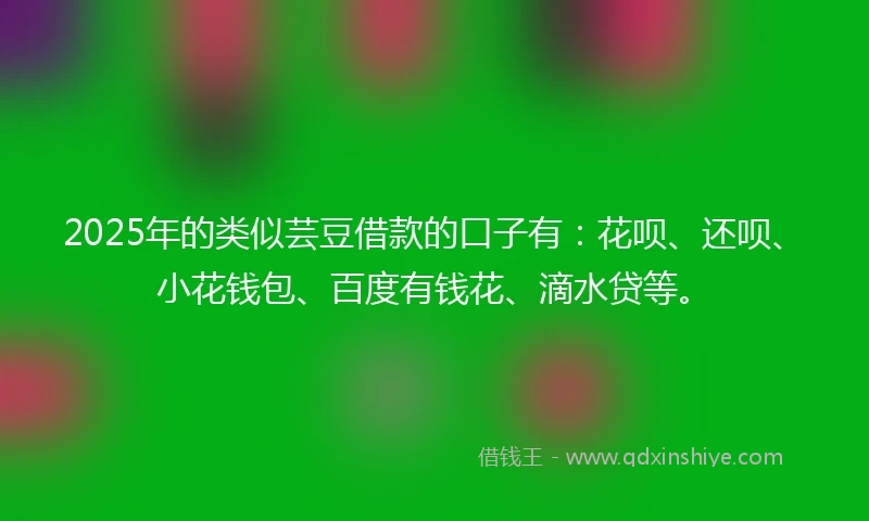 2025年的类似芸豆借款的口子有：花呗、还呗、小花钱包、百度有钱花、滴水贷等。