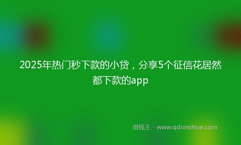 2025年热门秒下款的小贷，分享5个征信花居然都下款的app