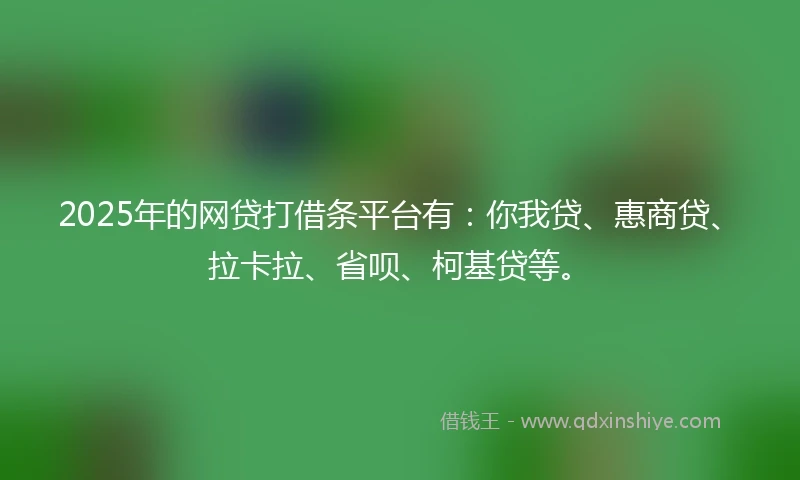 2025年的网贷打借条平台有：你我贷、惠商贷、拉卡拉、省呗、柯基贷等。