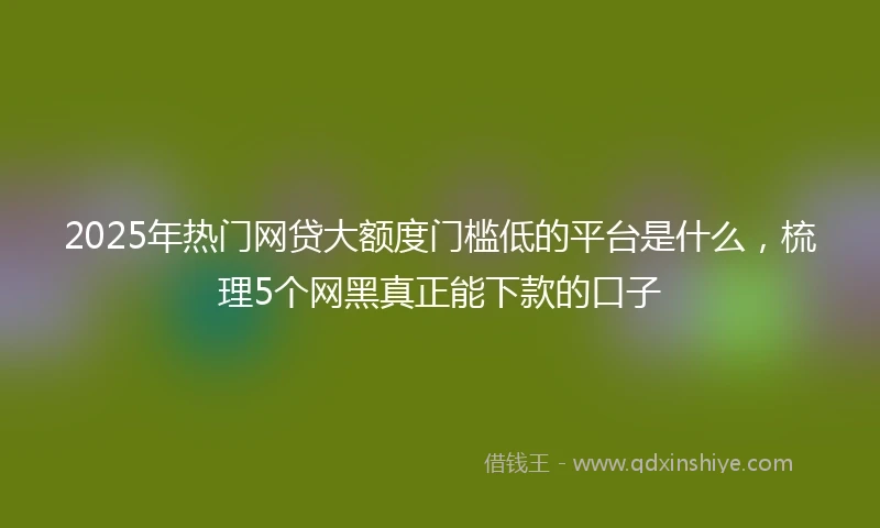 2025年热门网贷大额度门槛低的平台是什么,梳理5个网黑真正能下款的口子
