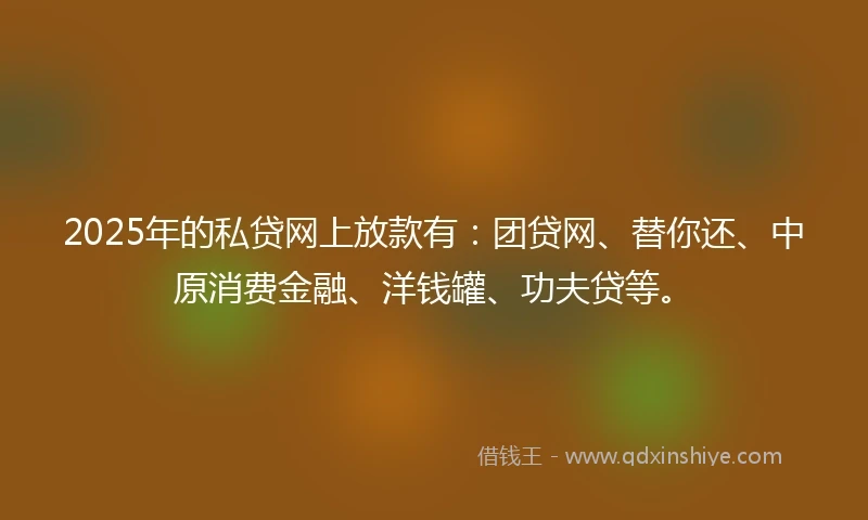 2025年的私贷网上放款有：团贷网、替你还、中原消费金融、洋钱罐、功夫贷等。