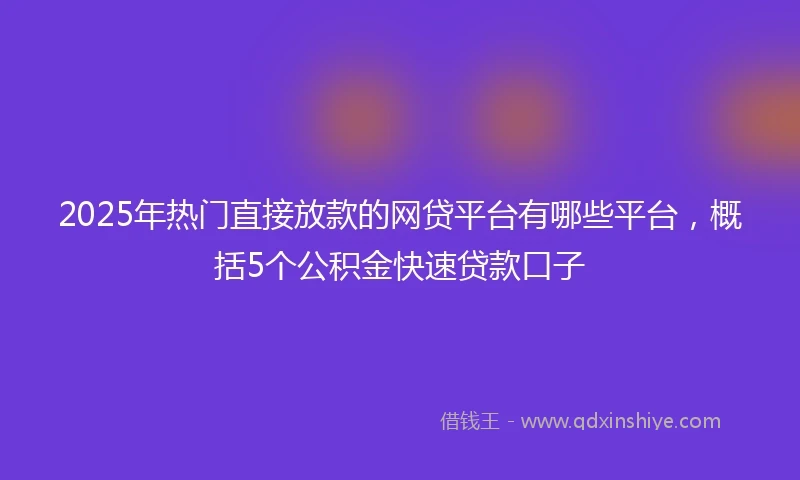 2025年热门直接放款的网贷平台有哪些平台，概括5个公积金快速贷款口子