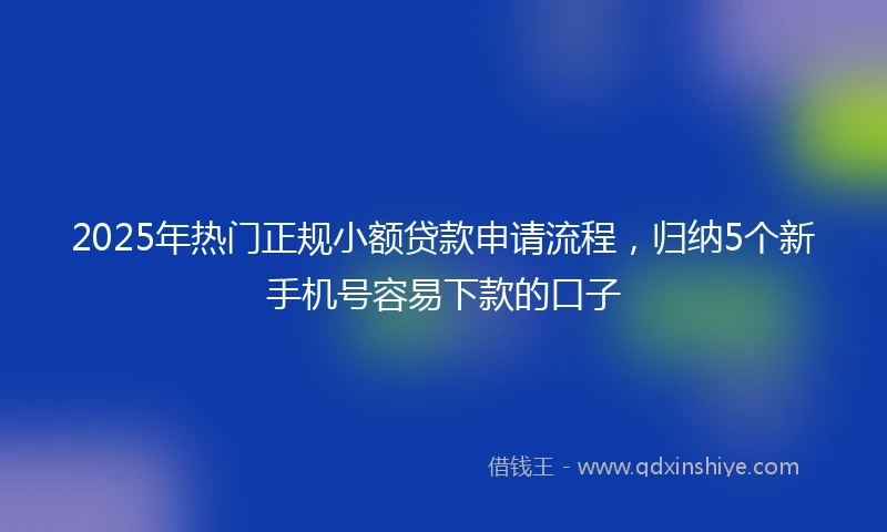 2025年热门正规小额贷款申请流程，归纳5个新手机号容易下款的口子