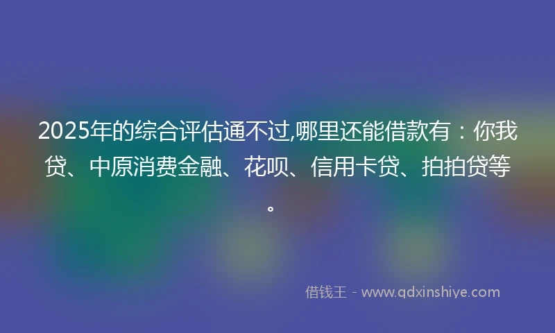 2025年的综合评估通不过,哪里还能借款有：你我贷、中原消费金融、花呗、信用卡贷、拍拍贷等。