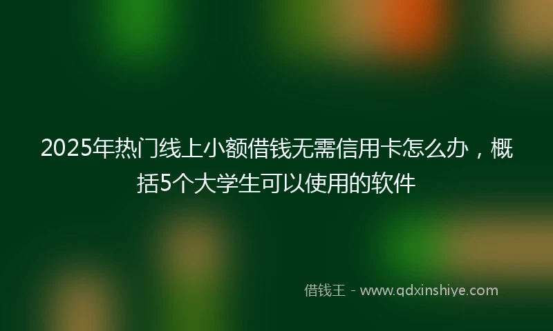 2025年热门线上小额借钱无需信用卡怎么办，概括5个大学生可以使用的软件