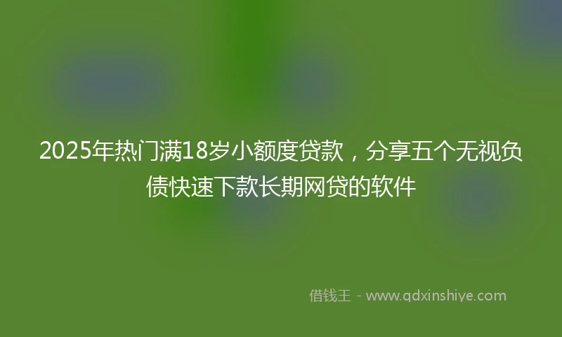2025年热门满18岁小额度贷款，分享五个无视负债快速下款长期网贷的软件