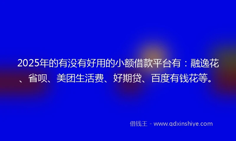 2025年的有没有好用的小额借款平台有：融逸花、省呗、美团生活费、好期贷、百度有钱花等。