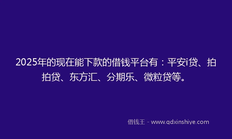 2025年的现在能下款的借钱平台有：平安i贷、拍拍贷、东方汇、分期乐、微粒贷等。