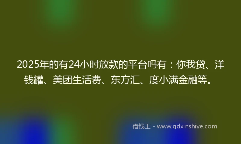 2025年的有24小时放款的平台吗有：你我贷、洋钱罐、美团生活费、东方汇、度小满金融等。