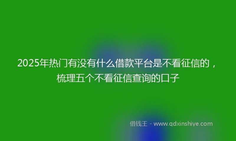 2025年热门有没有什么借款平台是不看征信的，梳理五个不看征信查询的口子