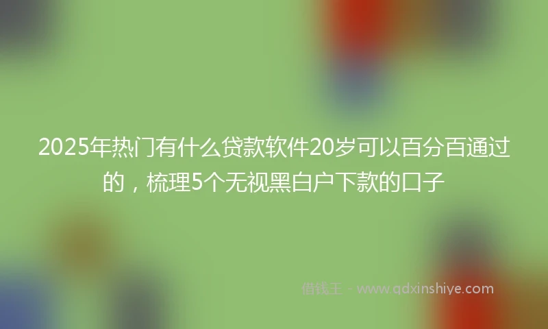 2025年热门有什么贷款软件20岁可以百分百通过的，梳理5个无视黑白户下款的口子