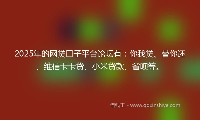 2025年的网贷口子平台论坛有：你我贷、替你还、维信卡卡贷、小米贷款、省呗等。
