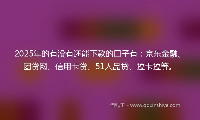 2025年的有没有还能下款的口子有：京东金融、团贷网、信用卡贷、51人品贷、拉卡拉等。