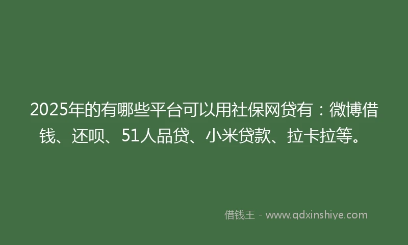 2025年的有哪些平台可以用社保网贷有：微博借钱、还呗、51人品贷、小米贷款、拉卡拉等。