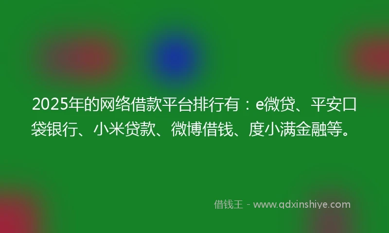 2025年的网络借款平台排行有：e微贷、平安口袋银行、小米贷款、微博借钱、度小满金融等。