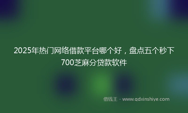 2025年热门网络借款平台哪个好，盘点五个秒下700芝麻分贷款软件