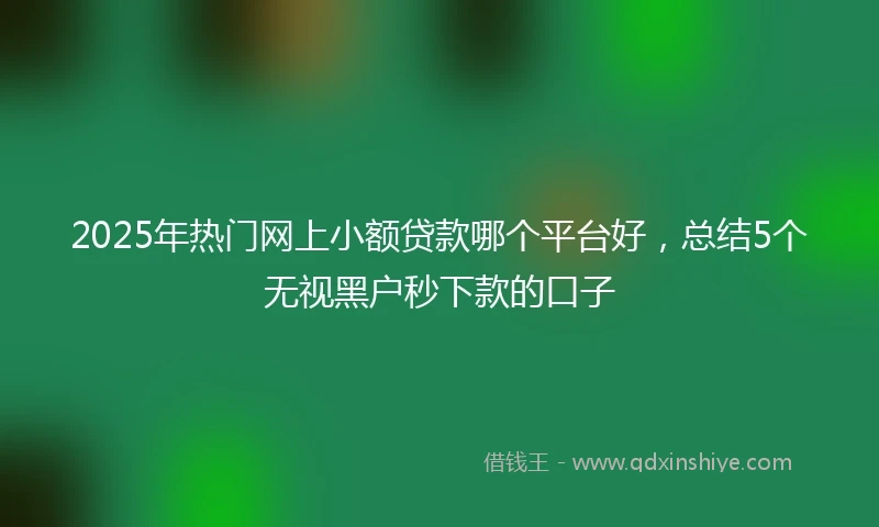 2025年热门网上小额贷款哪个平台好，总结5个无视黑户秒下款的口子