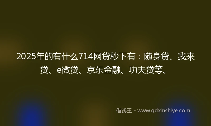 2025年的有什么714网贷秒下有：随身贷、我来贷、e微贷、京东金融、功夫贷等。