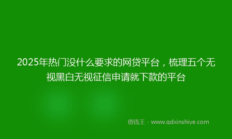 2025年热门没什么要求的网贷平台，梳理五个无视黑白无视征信申请就下款的平台