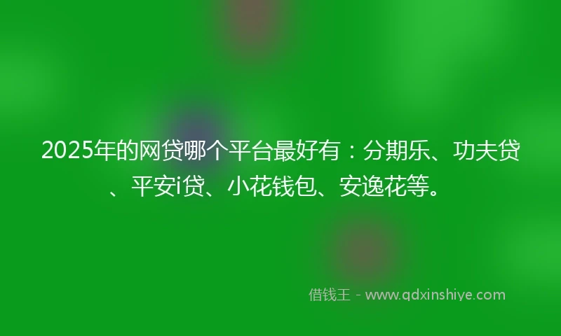 2025年的网贷哪个平台最好有：分期乐、功夫贷、平安i贷、小花钱包、安逸花等。