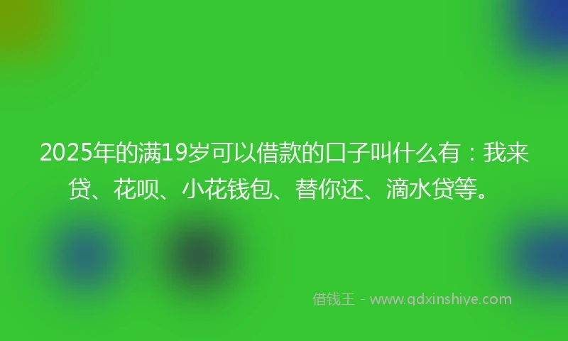 2025年的满19岁可以借款的口子叫什么有：我来贷、花呗、小花钱包、替你还、滴水贷等。
