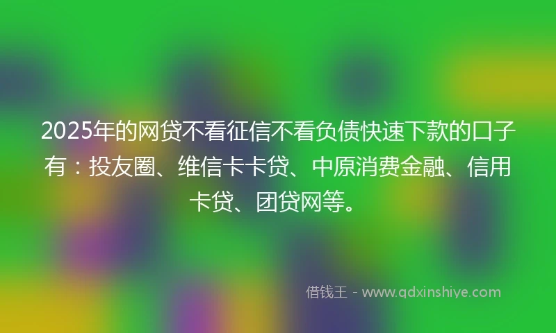 2025年的网贷不看征信不看负债快速下款的口子有：投友圈、维信卡卡贷、中原消费金融、信用卡贷、团贷网等。