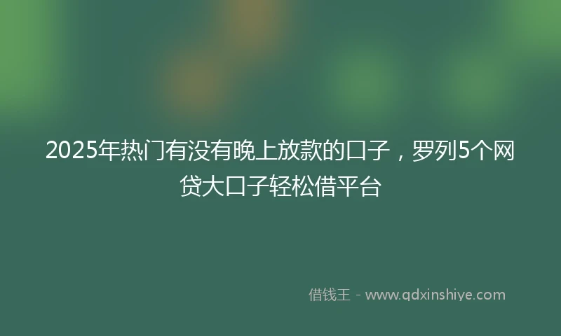 2025年热门有没有晚上放款的口子，罗列5个网贷大口子轻松借平台