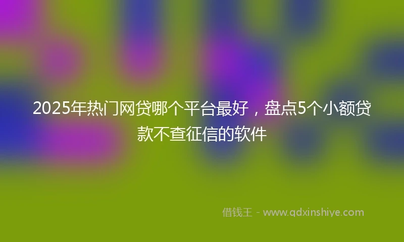 2025年热门网贷哪个平台最好，盘点5个小额贷款不查征信的软件