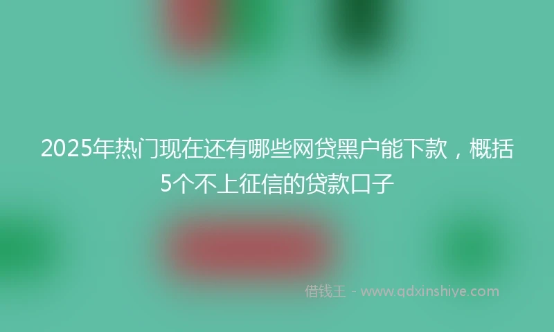 2025年热门现在还有哪些网贷黑户能下款，概括5个不上征信的贷款口子