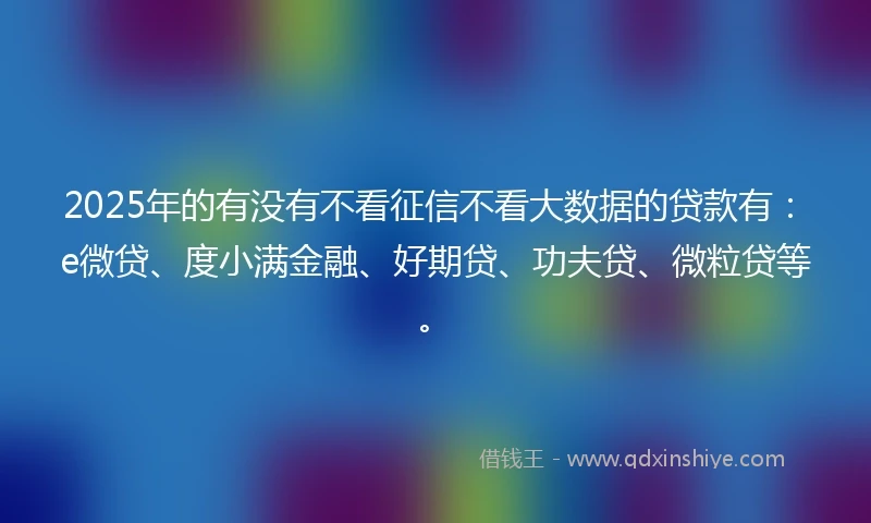 2025年的有没有不看征信不看大数据的贷款有：e微贷、度小满金融、好期贷、功夫贷、微粒贷等。