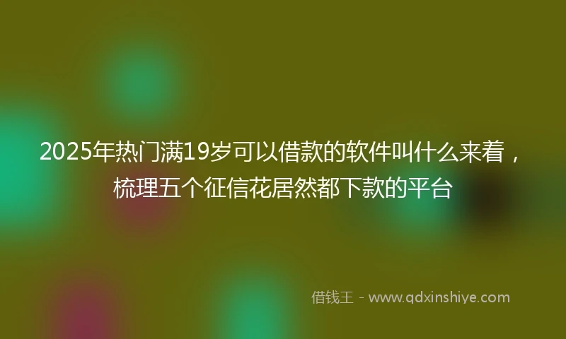2025年热门满19岁可以借款的软件叫什么来着，梳理五个征信花居然都下款的平台