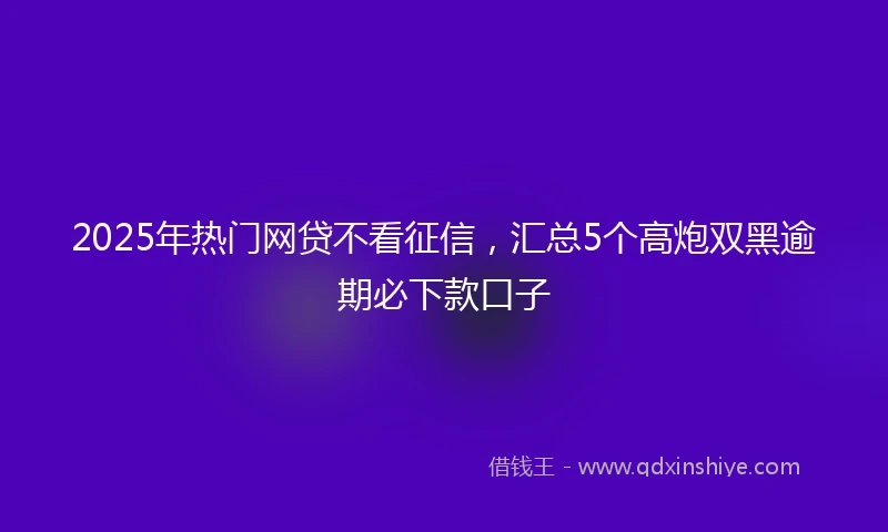 2025年热门网贷不看征信，汇总5个高炮双黑逾期必下款口子