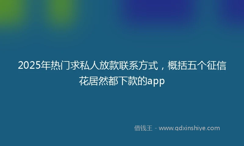 2025年热门求私人放款联系方式，概括五个征信花居然都下款的app