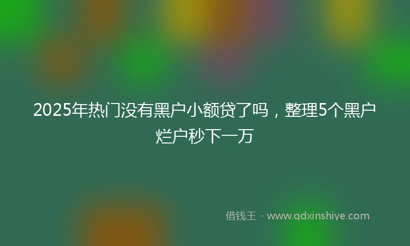 2025年热门没有黑户小额贷了吗，整理5个黑户烂户秒下一万