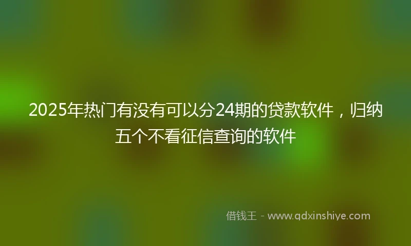 2025年热门有没有可以分24期的贷款软件，归纳五个不看征信查询的软件